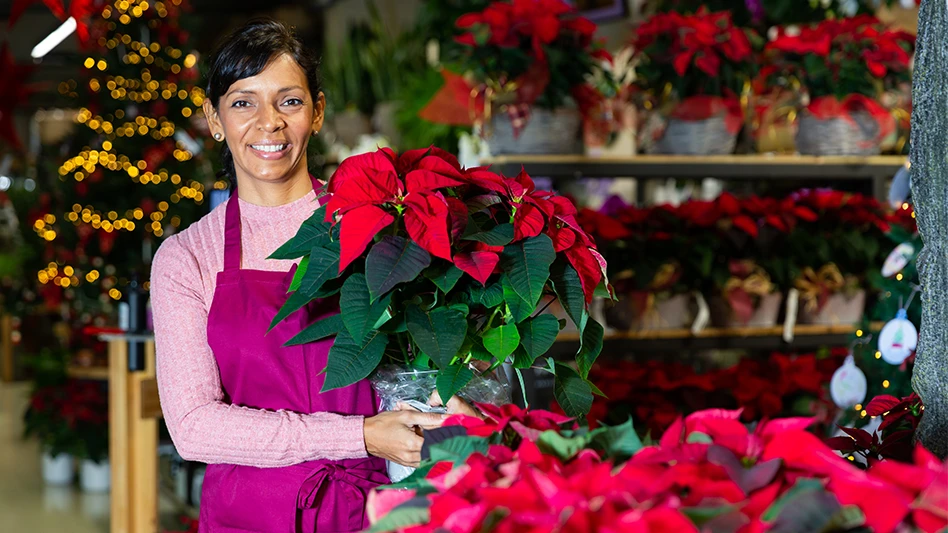 A female employee wearing a pink shirt and apron holds a poinsettia inside an independent garden center.