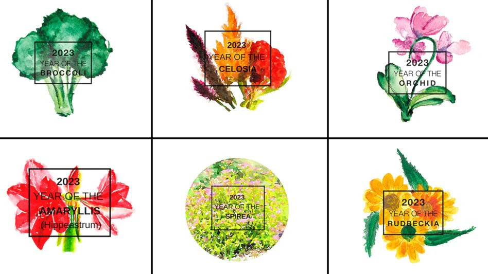 Graphic courtesy of the National Garden Bureau