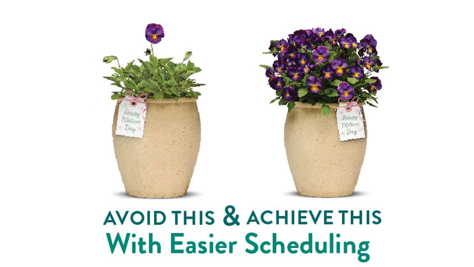 Potted plants that say "Happy Mother's Day"