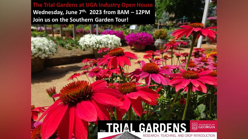 a close up on red flowers with a variety of other flowers in the background.