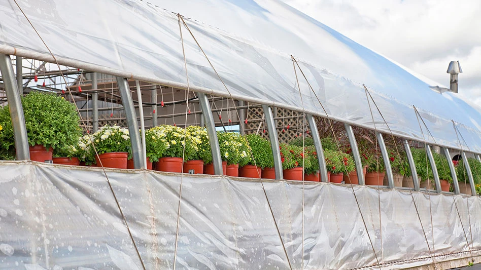 Spores of many pathogens can be carried by the wind into greenhouses.