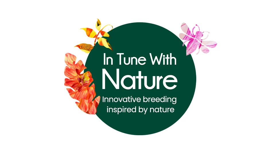 Photo courtesy of Danziger