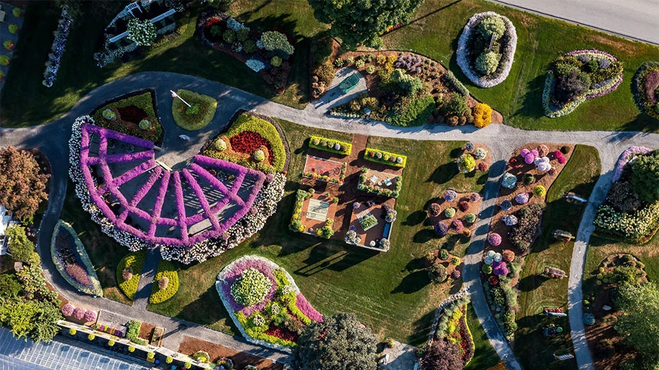 Pleasant View Gardens is one of two plant growers that produces liners for the Proven Winners brand of plants.