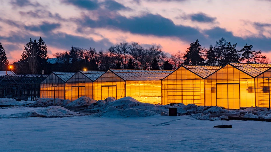 Photo: © Mulderphoto | Adobestock