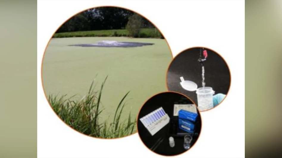 Three circles with photos inside. One shows a body of water with green algae on top. The other two show water testing tools.