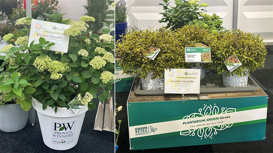 A lime hydrangea in a container that reads Proven Winners and three weigela shrubs in white containers on top of a table with a banner that reads Plantarium the green retail fair.