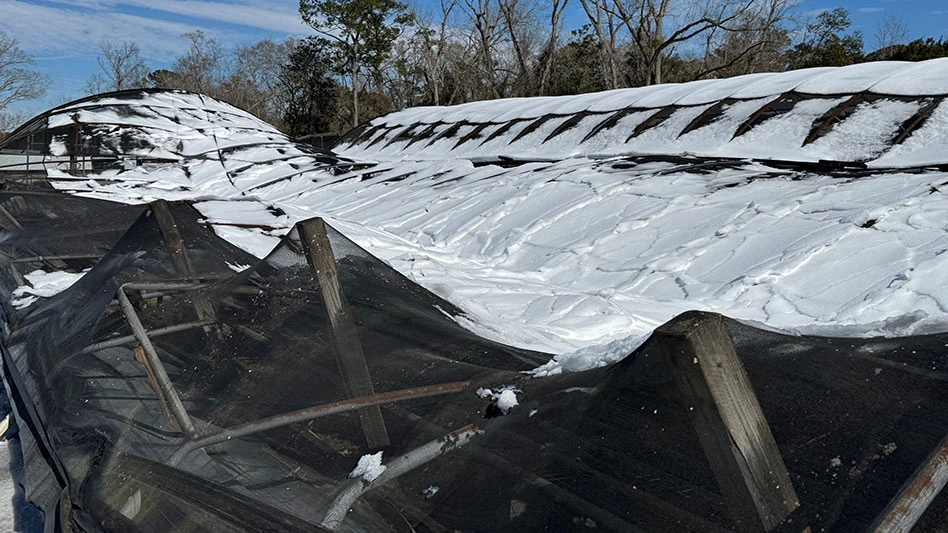 snow covering outdoor growing structures
