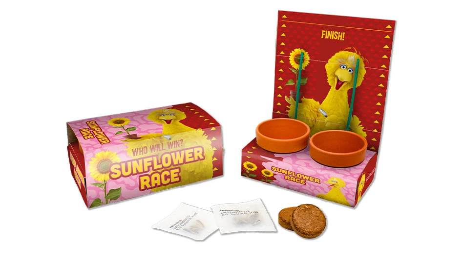 A sunflower plant gardening game and kit featuring a yellow Big Bird.