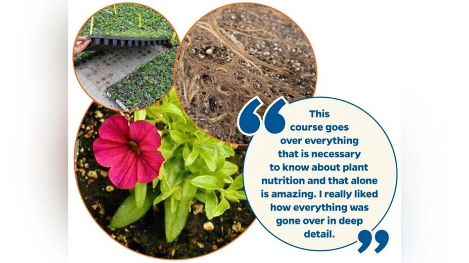 Three photos, of a red flower with green leaves, brown soil with roots showing and a black plastic tray of green seedlings, next to a quote expressing gratitude for an education course.