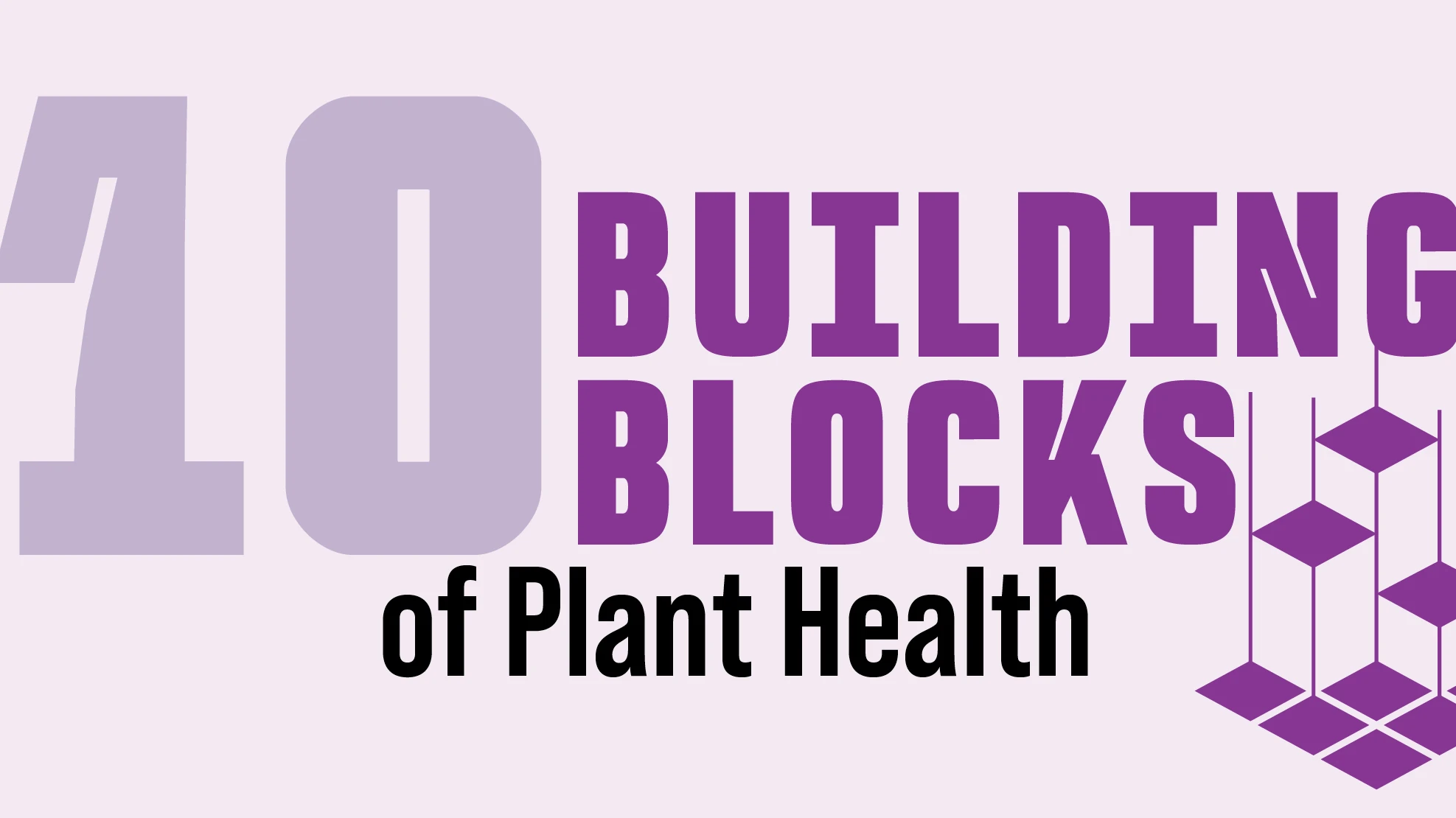 A graphic with purple text on a purple background reads 10 Building Blocks of Plant Health.