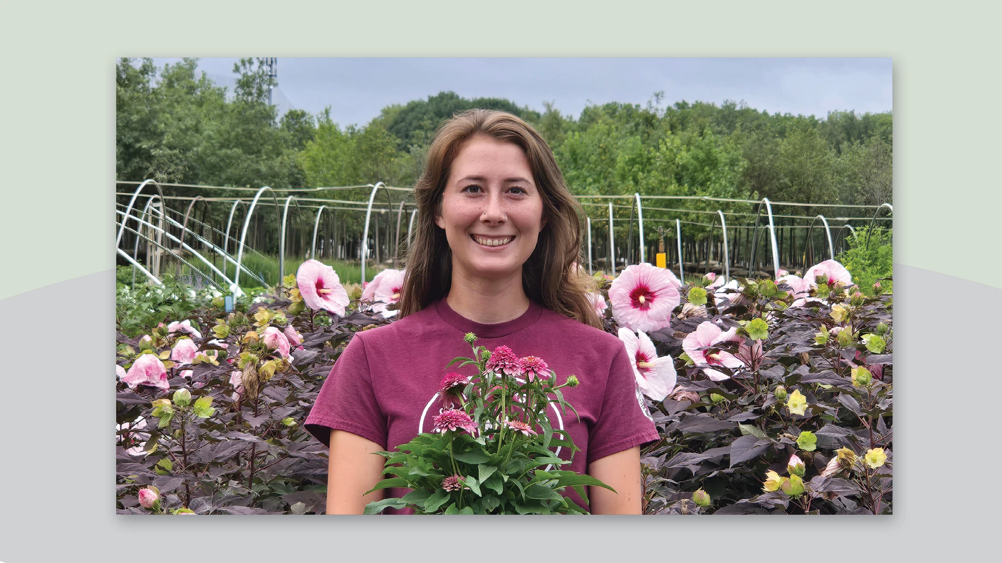 A smiling woman with long brown hair and wearing a maroon shirt holds a potted plant with pink flowers and green leaves. A greenhouse structure and growing plants are visible behind her.