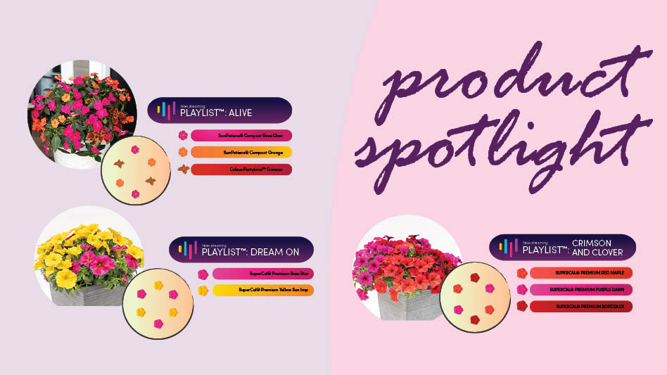 A graphic with purple text on a pink and purple background reading Product Spotlight. There are photos of three potted plant combinations.