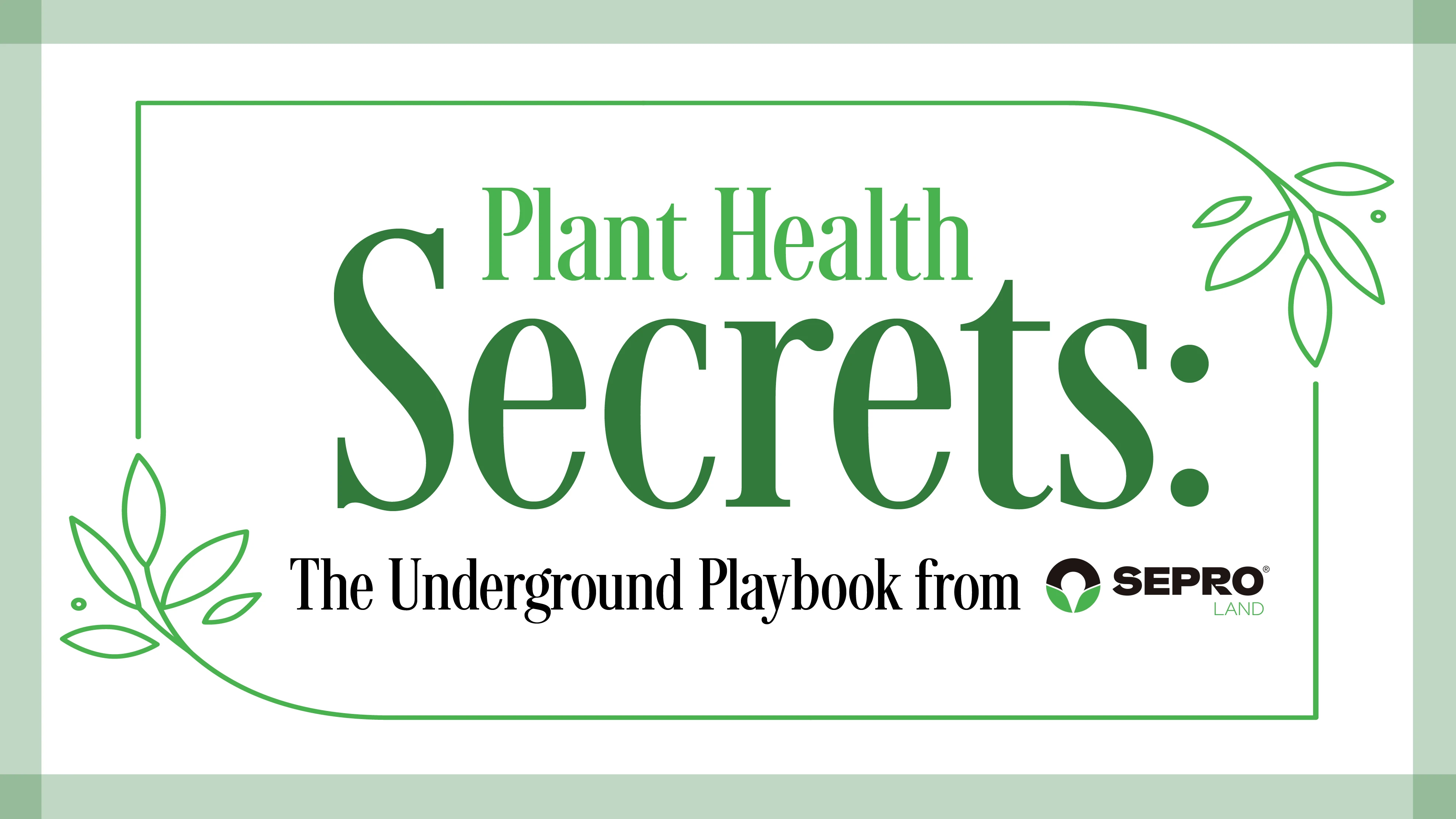 A graphic with green and black text on a white and green background reads Plant Health Secrets: The Underground Playbrook from SePRO Land.