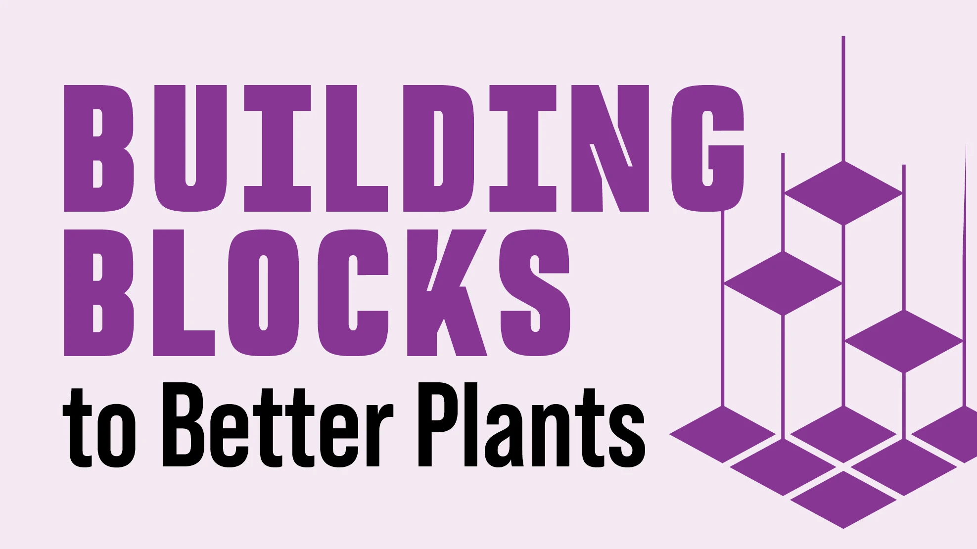 Purple and black text reading Building Blocks to Better Plants on a lavender background.