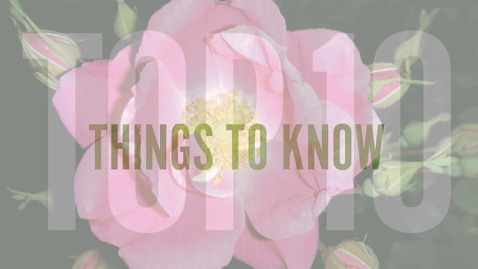A graphic with white and green text on a background photo of a pink flower reading Top 10 Things To Know.