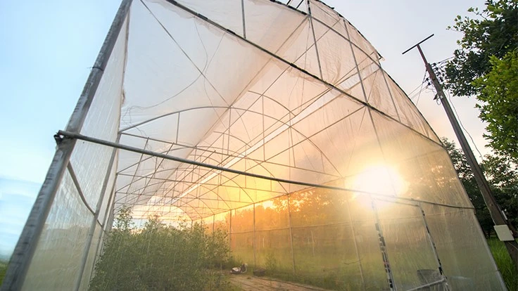 Photo courtesy of Adobe Stock 