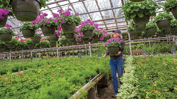 Photo: Laura Watilo Blake