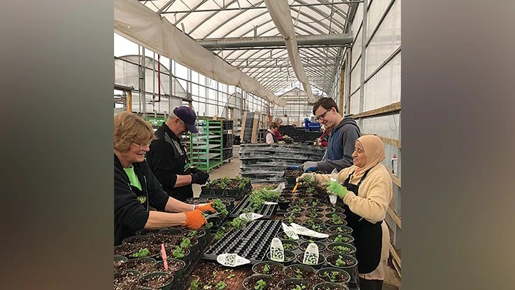 Photo courtesy of Kuhlmann’s Market Gardens and Greenhouses